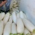 湖北精品白萝卜产地发货一手货源批发品质保证价格美丽