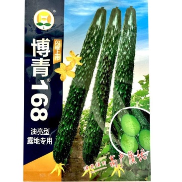 黄瓜种子博青168油亮型露地用瓜条顺直深绿心小肉厚