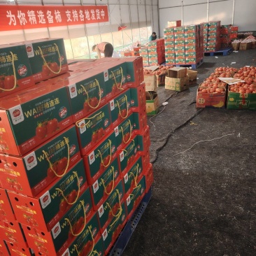 普罗旺斯西红柿