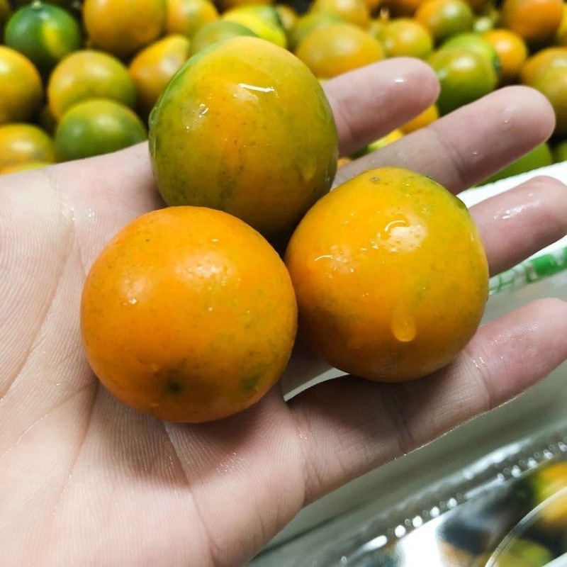 脆皮金桔10斤整箱当季新鲜水果滑皮瀑汁橘子5斤批发包邮柑