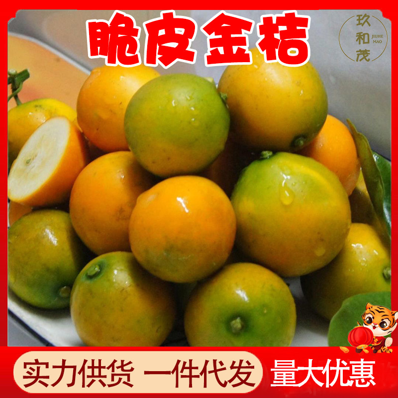 脆皮金桔10斤整箱当季新鲜水果滑皮瀑汁橘子5斤批发包邮柑