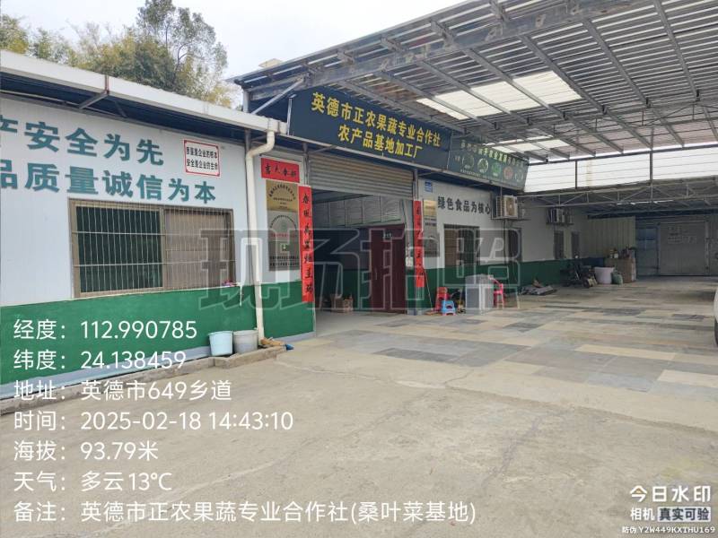 桑芽菜大量有货，对接全国市场电商平台，欢迎合作