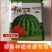中禧美都西瓜种子华洲美都西瓜籽耐裂大红瓤高糖甘甜酥脆