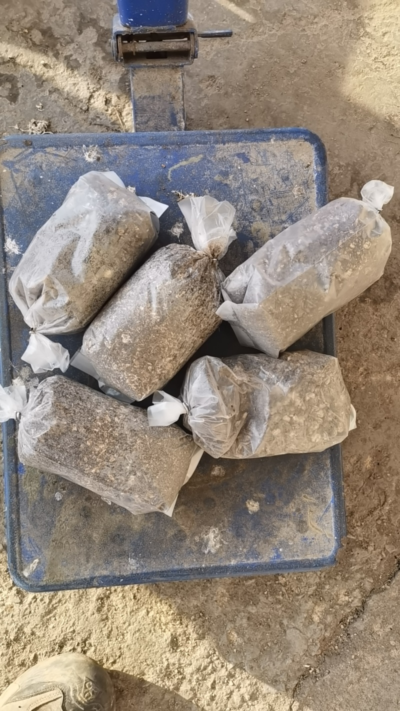 电商菌包供应，各种规格各种品种，各种形状，都可以