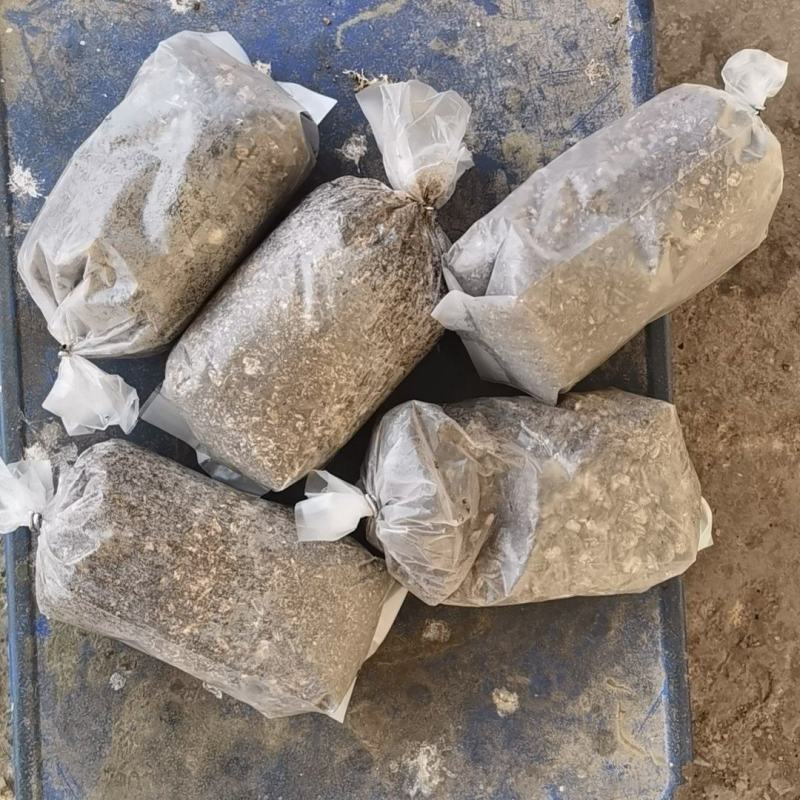 电商菌包供应，各种规格各种品种，各种形状，都可以