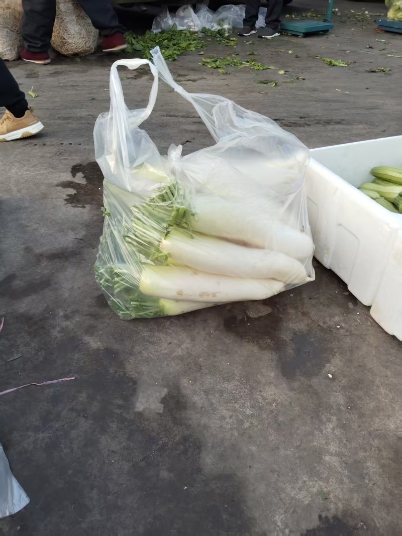 萝卜上市