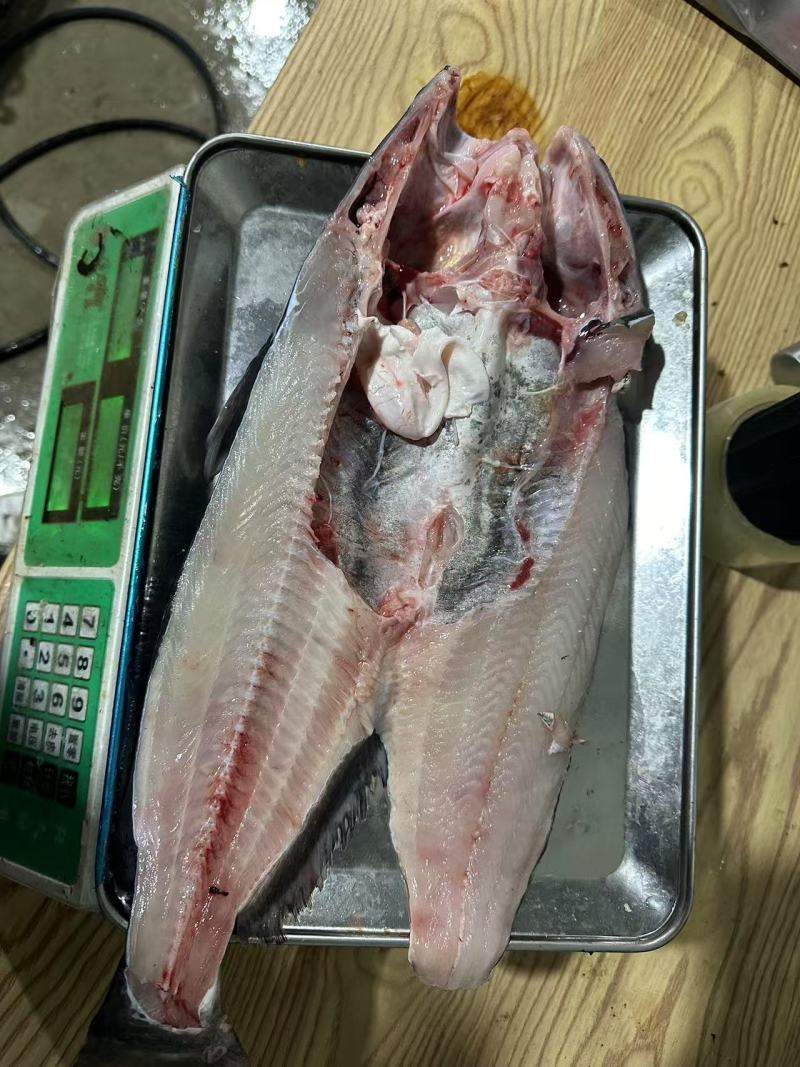 冷冻现杀清江鱼