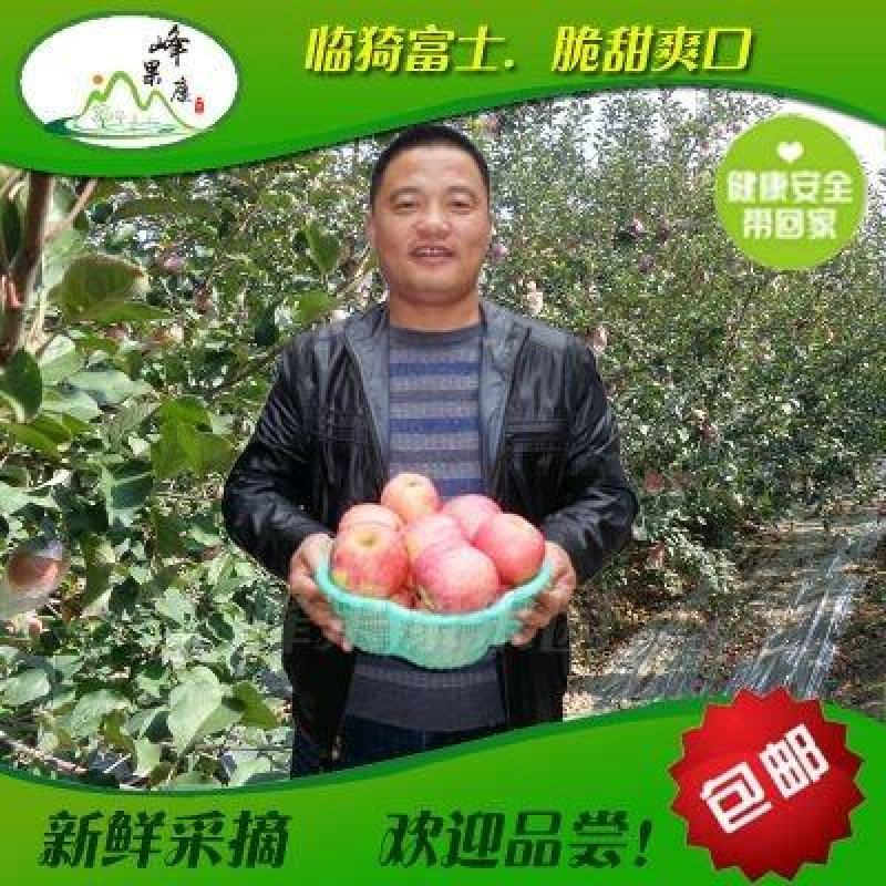 【纸+膜】膜袋山西运城红富士苹果产地直销