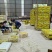 甄选四川安岳柠檬黄柠檬品质您放心诚信经营量大从优