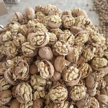 薄皮纸皮干核桃保质保量保售后，过筛精选