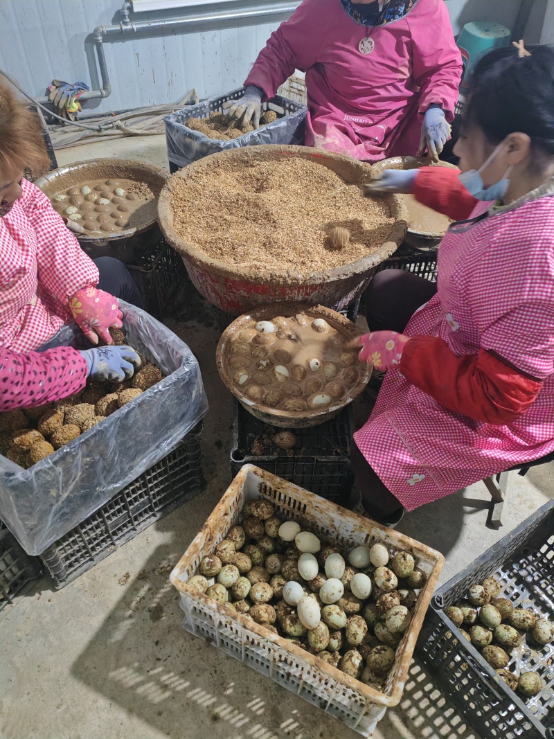 微山湖松花蛋包泥老传统工艺制作