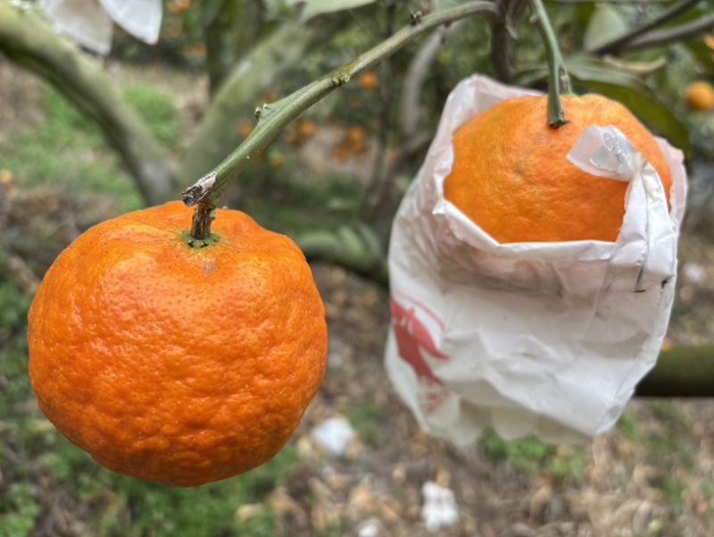 【规格齐全】明日见质量保证诚信经营欢迎咨询