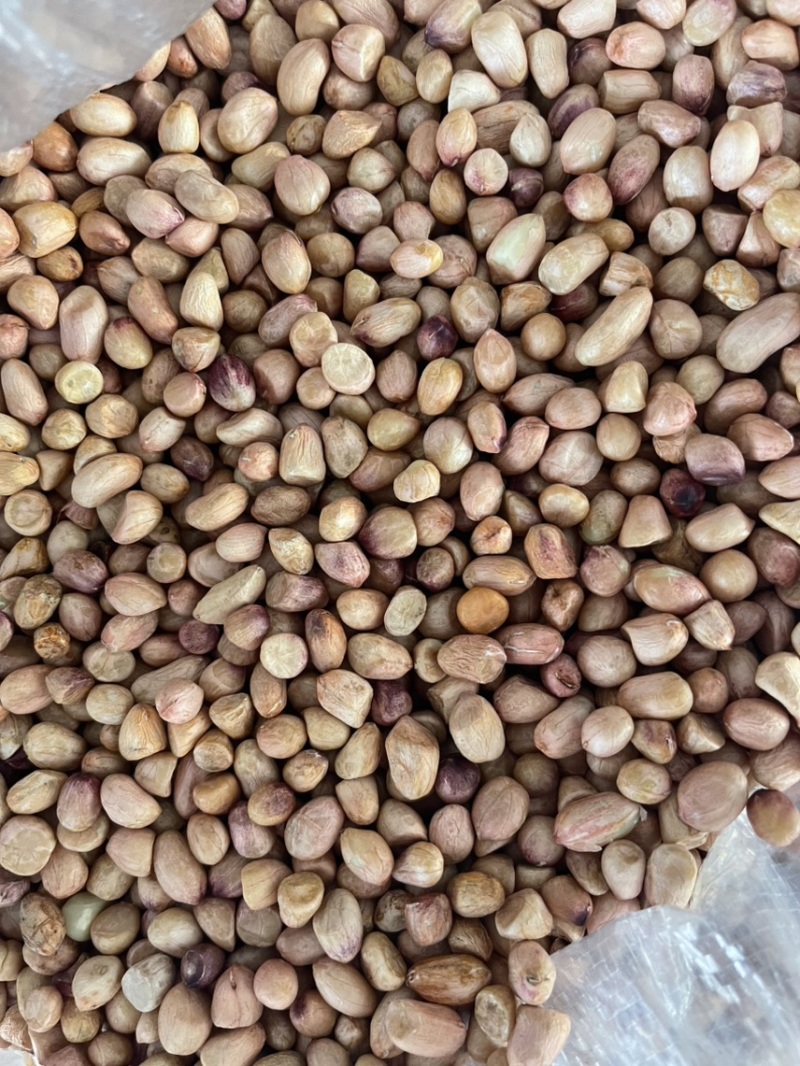 鲁花精选米，电商专用花生米，白沙精选米，油料米