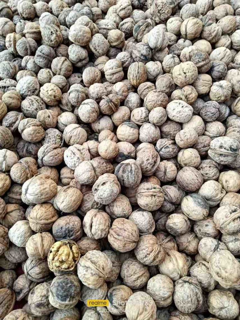 新疆核桃，薄皮核桃，纸皮核桃，香玲核桃产地直发。