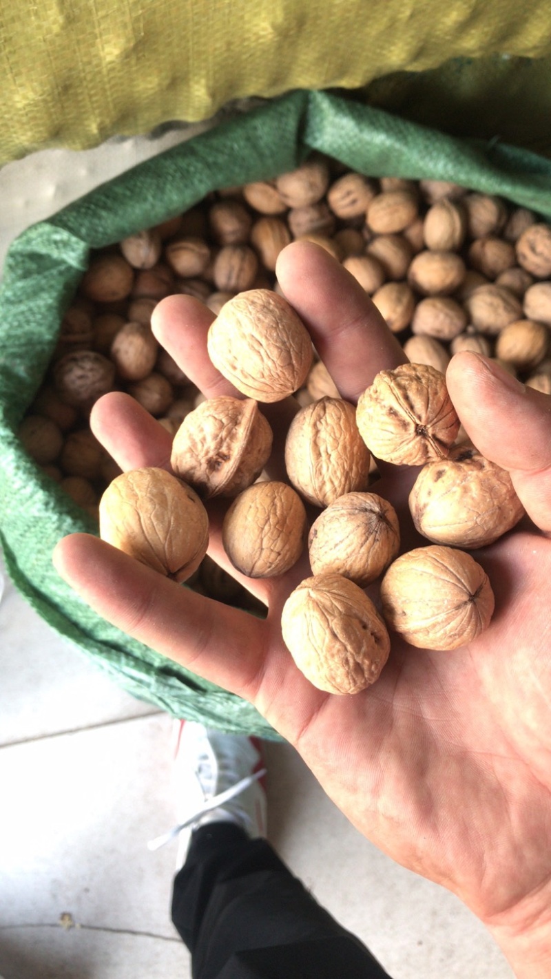 薄皮核桃，新疆核桃，山东核桃，纸皮核桃，香玲核桃