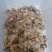 牛肠串/0.50元/串/4颗15-18克