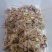 牛肠串/0.50元/串/4颗15-18克