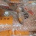 油料榨油商品花生米鲁花白沙花玉四粒红过筛精选人工挑拣