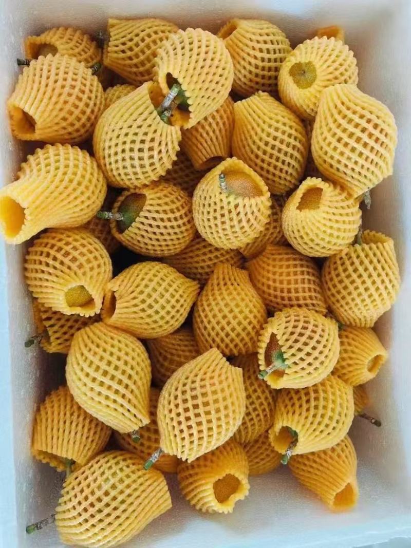 热情果大量上市