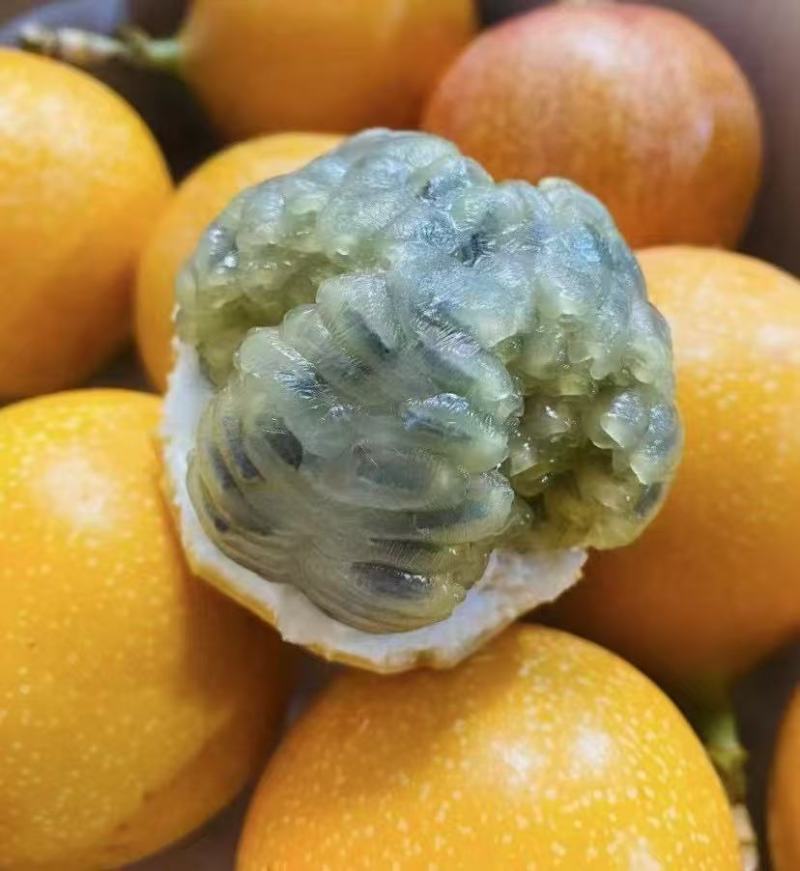 热情果大量上市