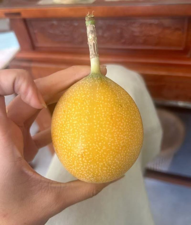 热情果大量上市