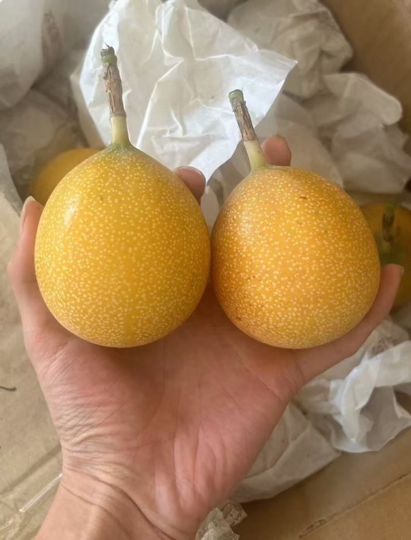 热情果大量上市