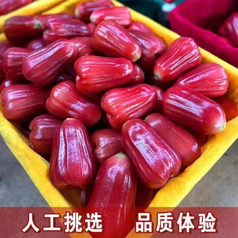 莲雾海南黑金刚莲雾新鲜水果热带水果仙女果脆甜雾莲孕妇一整