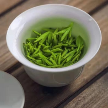 2025新茶龙井茶绿茶上市，头采龙井牙头新冒，欢迎采购