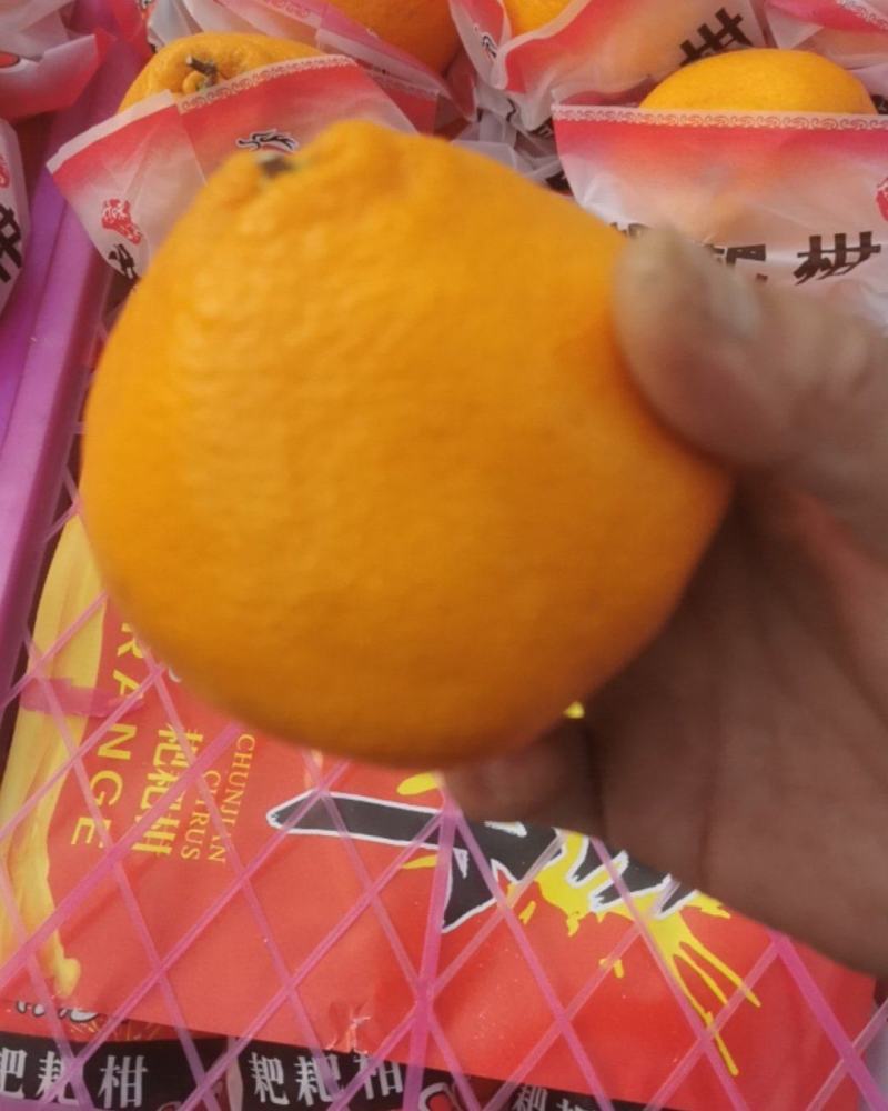 精品耙耙柑
