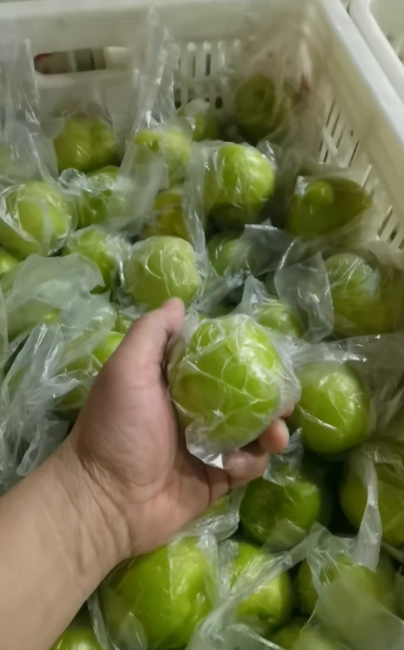 福建青枣牛奶枣蜜枣翠蜜