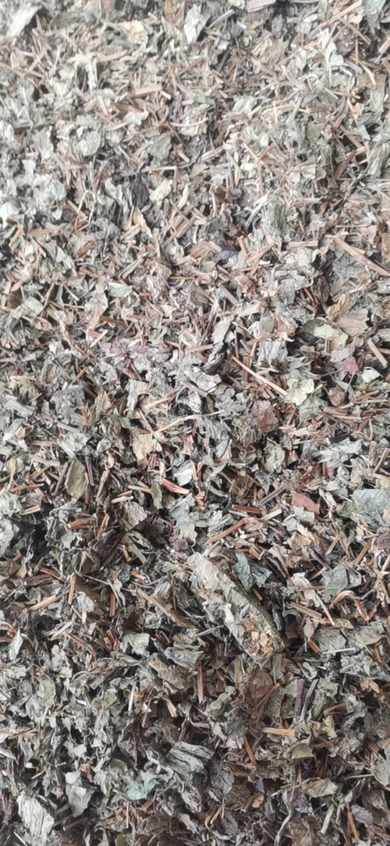 干鱼腥草，四川高含量野生鱼腥草，可按需加工