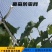果园防雹网苹果葡萄梨树鱼塘枸杞大棚防冰雹网葡萄园防护网