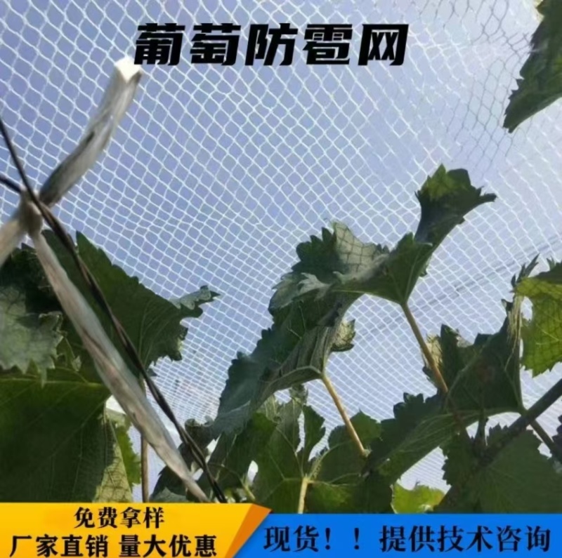 果园防雹网苹果葡萄梨树鱼塘枸杞大棚防冰雹网葡萄园防护网