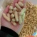 带壳花生花生米双仁四粒红黑花生带壳皮果挑拣精选