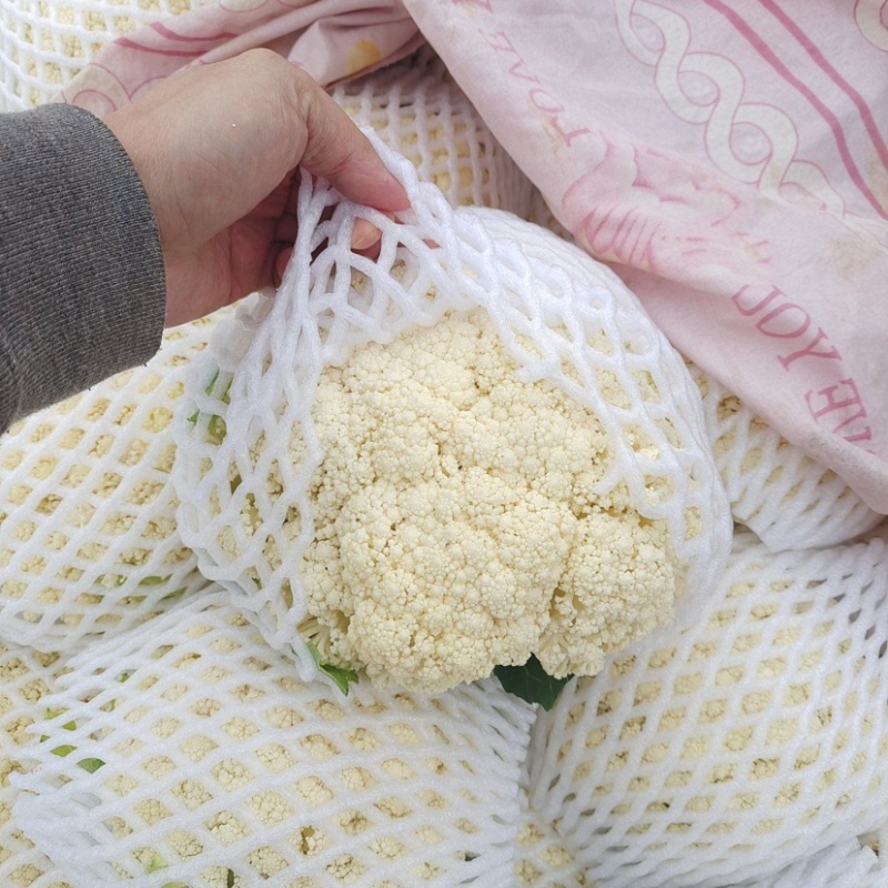 花菜云南白面青梗松花菜个头均匀面白小米全国发货