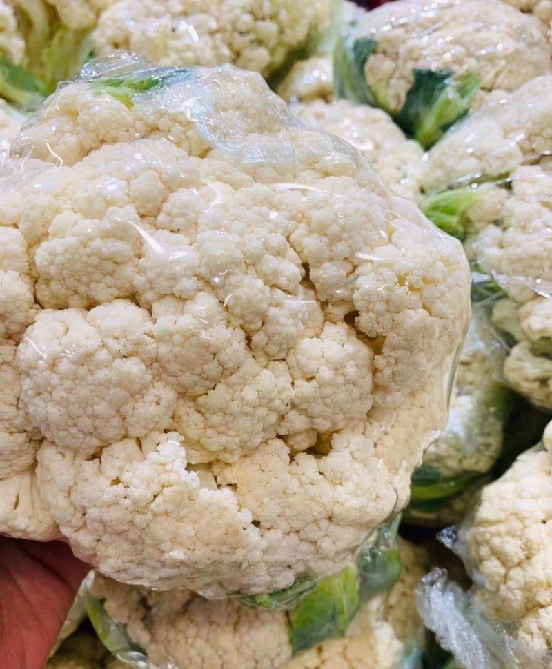 花菜云南白面青梗松花菜个头均匀面白小米全国发货