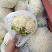 花菜云南白面青梗松花菜个头均匀面白小米全国发货