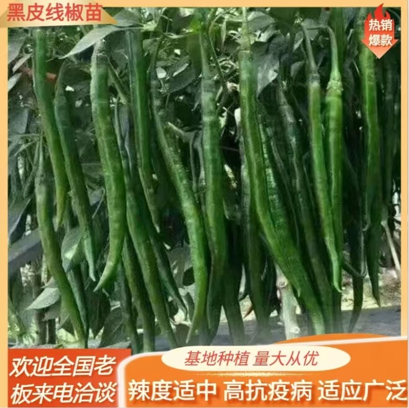 通货