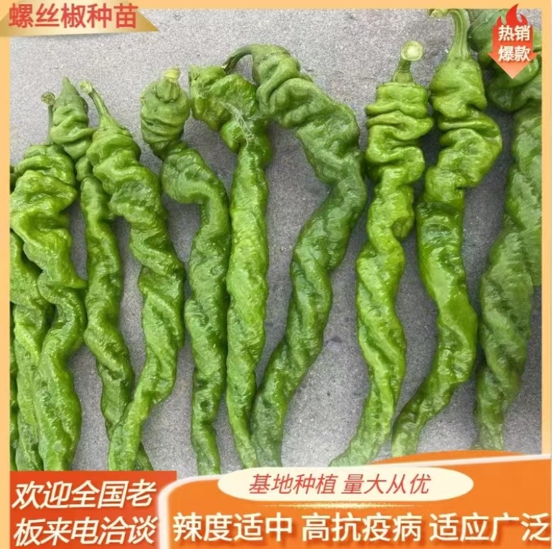通货