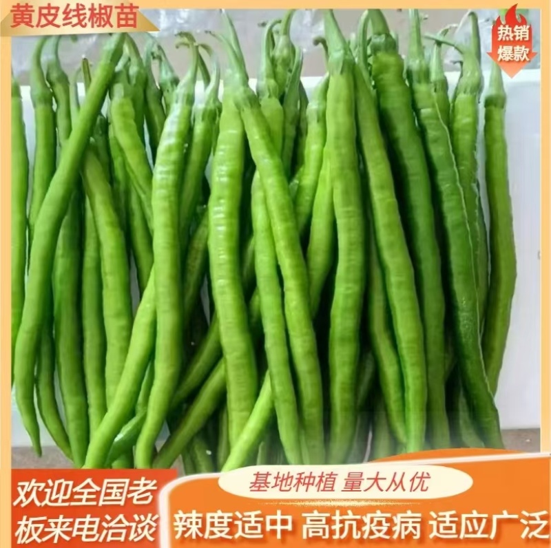 通货