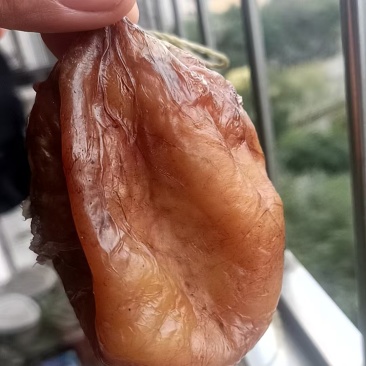 狮头鹅鹅宝