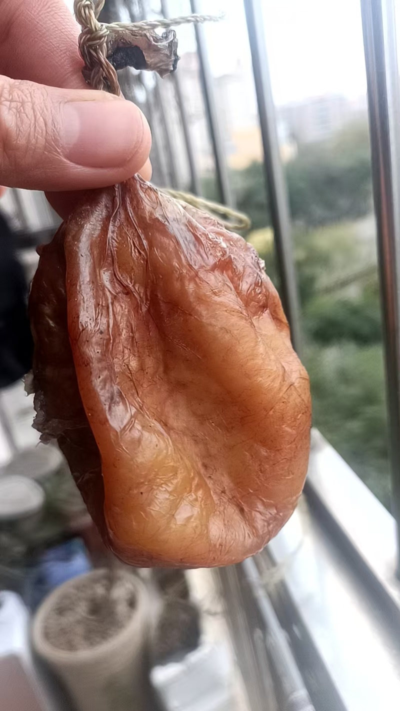 狮头鹅鹅宝