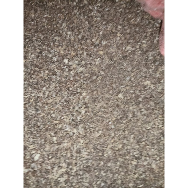 玉米毛糠