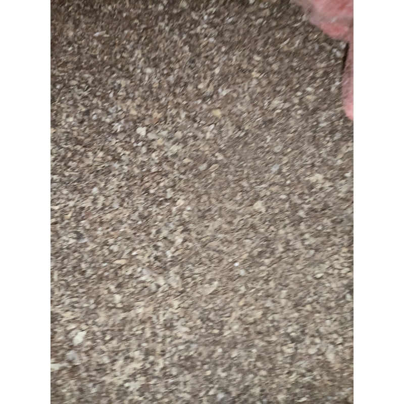 玉米毛糠