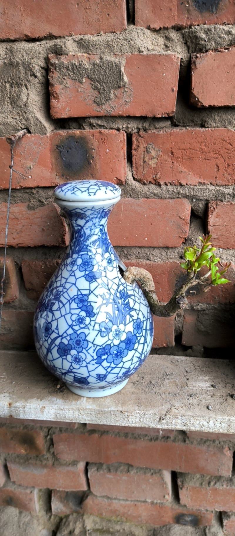 精品籽播花石榴