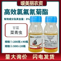 8%高效氯氟氰菊酯微乳剂防治小麦蚜虫金针虫