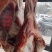 《山羊肉》当天现杀现发常年供应保证质量量大从优