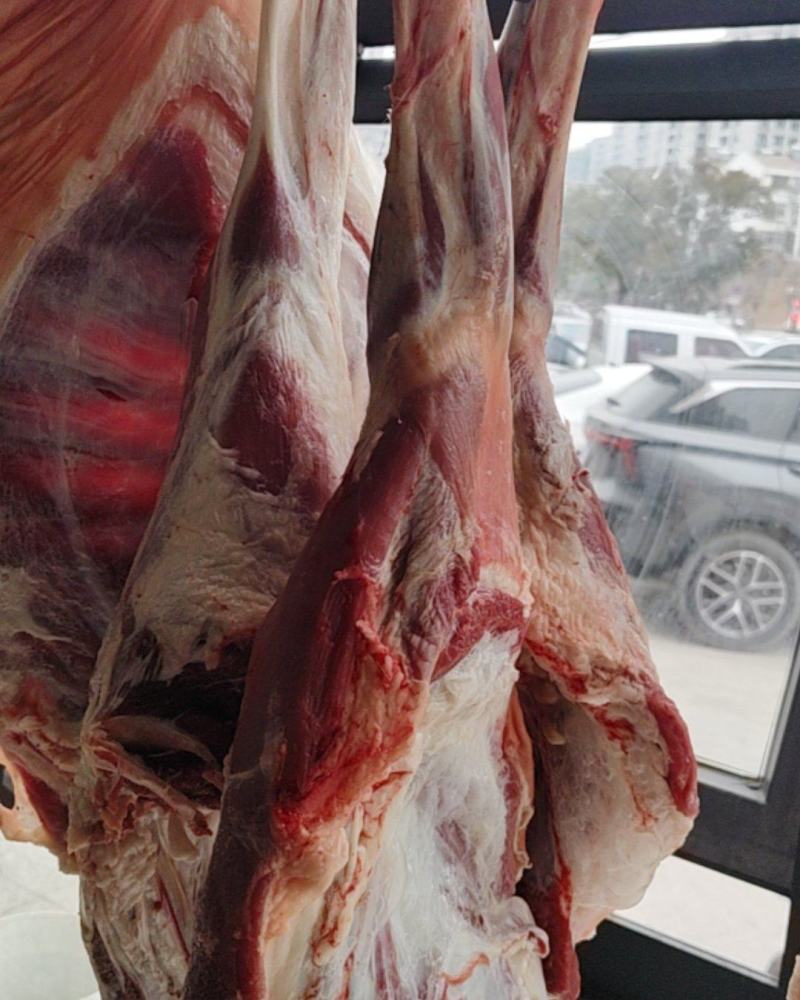 《山羊肉》当天现杀现发常年供应保证质量量大从优