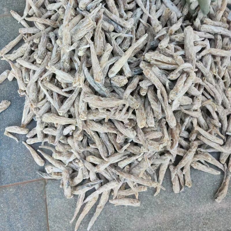 中药材正品茉莉根1公斤紫茉莉根入地老鼠紫茉莉花根
