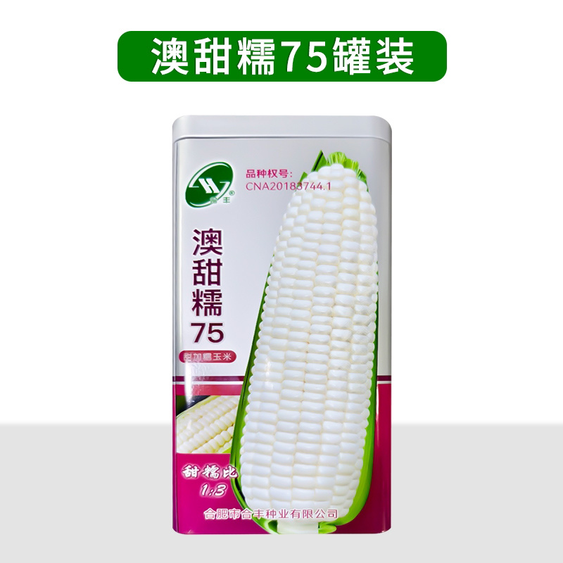 澳甜糯75-白甜糯玉米种子甜糯比1:3粘糯拉丝